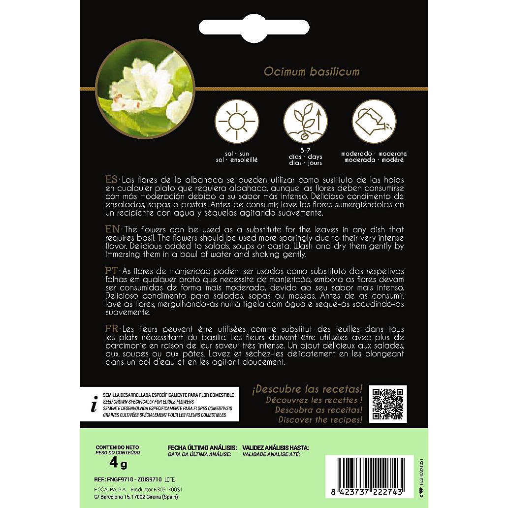 Semillas de flores comestibles de Albahaca Rocalba
