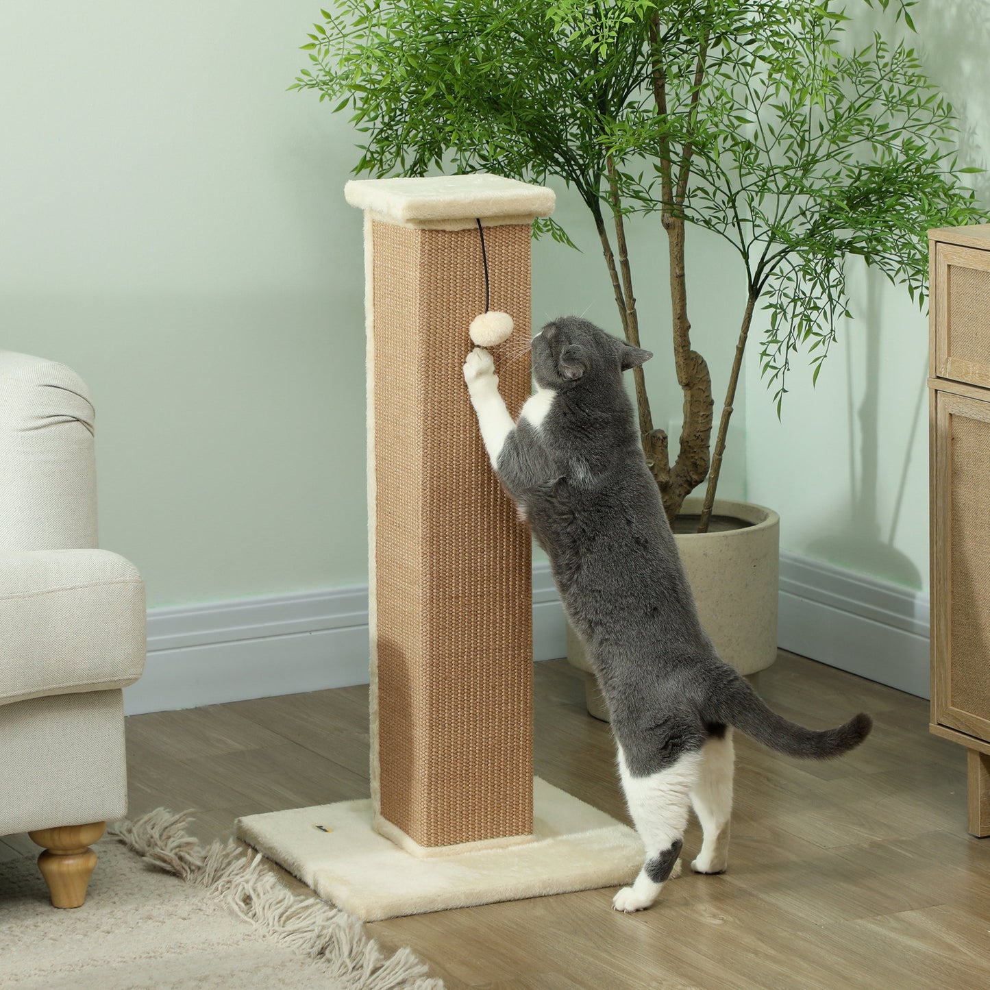 Pawhut Poste Rascador Para Gatos Altura 81 Cm Con Poste De Yute Y Bola Colgante_1