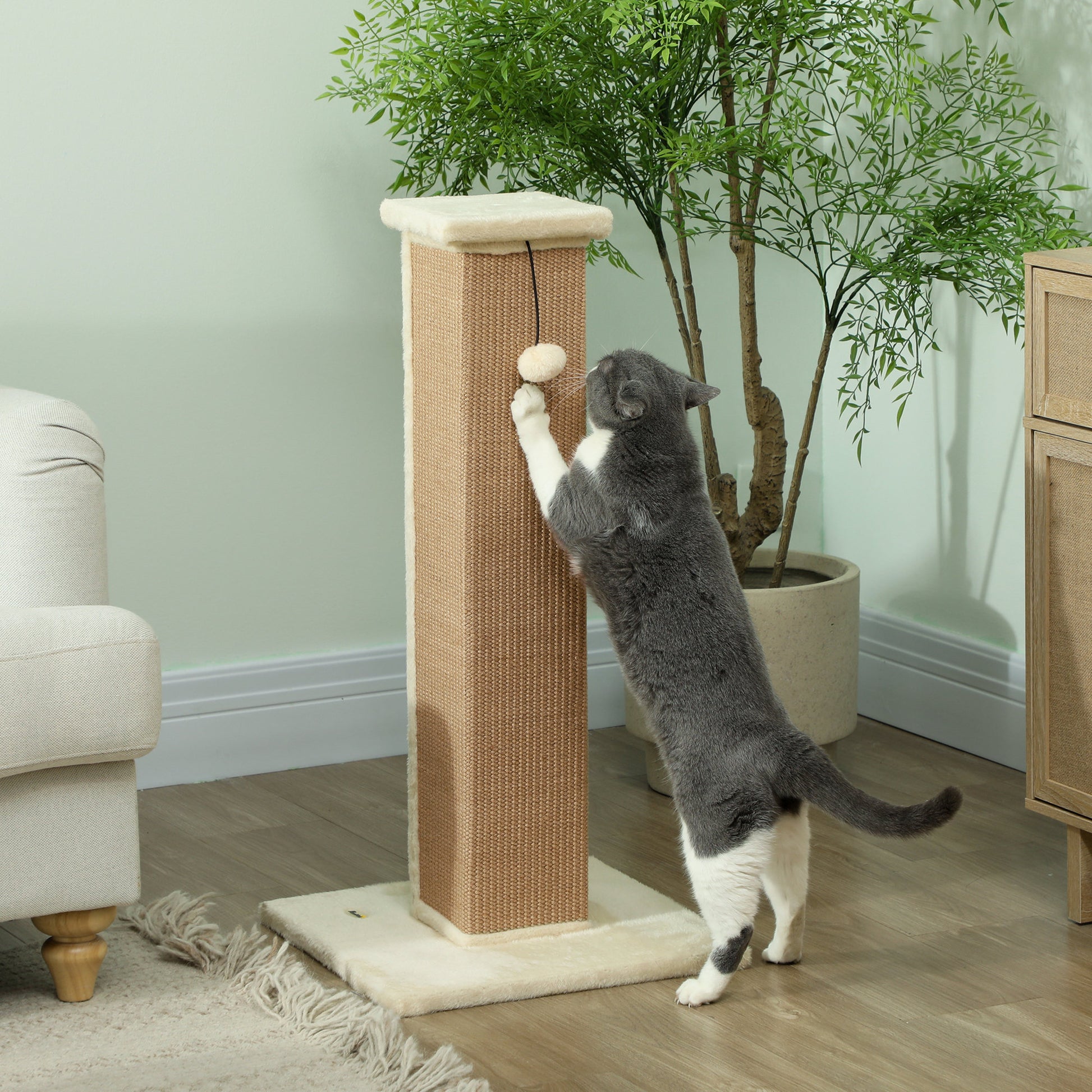 Pawhut Poste Rascador Para Gatos Altura 81 Cm Con Poste De Yute Y Bola Colgante_1