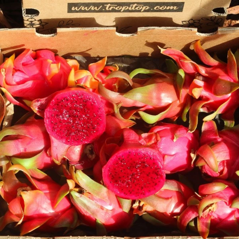 Pitahaya O Fruta Del Dragón - Caja De 4kg_2