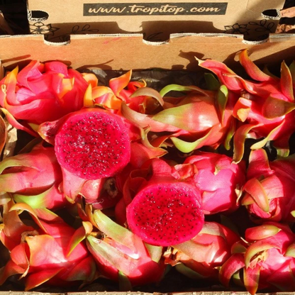 Pitahaya O Fruta Del Dragón - Caja De 4kg_2
