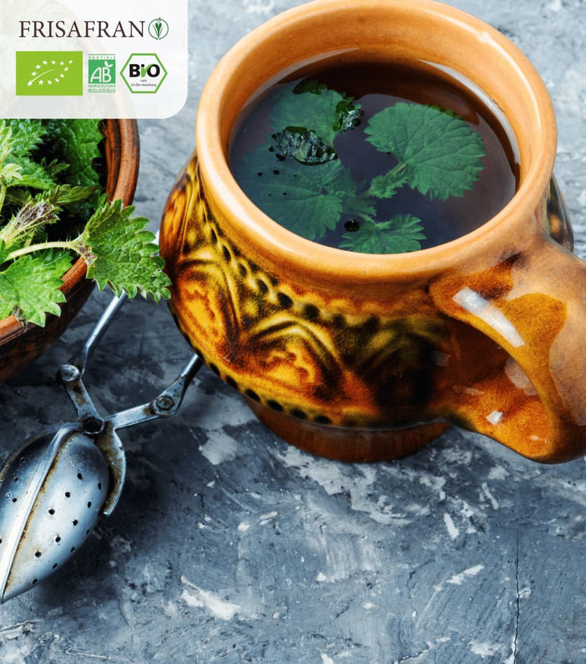 Infusión Depurativa Detox |pirámides | Calidad | Frisafran 15 Uds_5