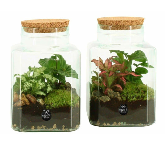 Terrario De Cristal 90559 (unidad)