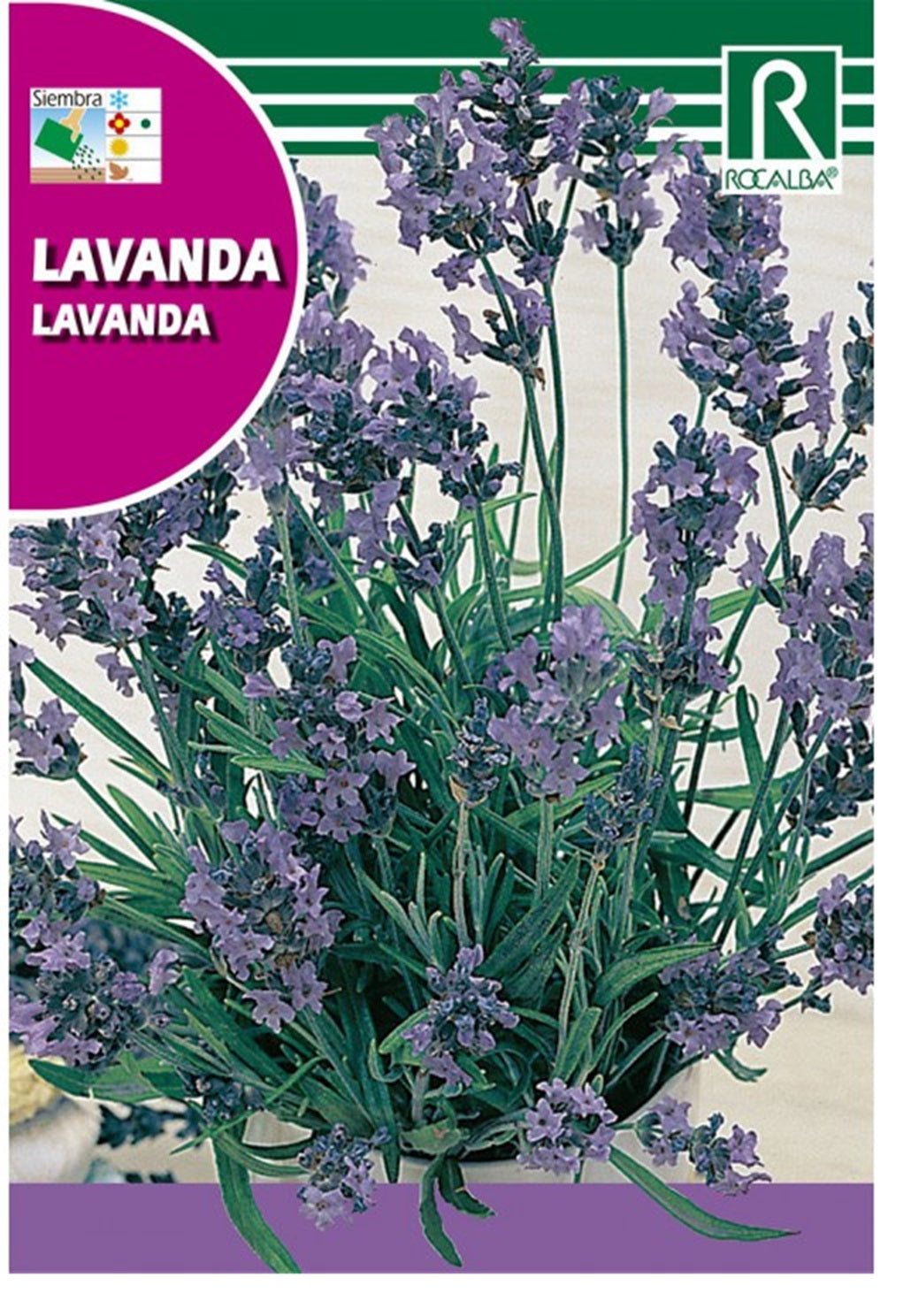 Semillas Lavanda 1g_0