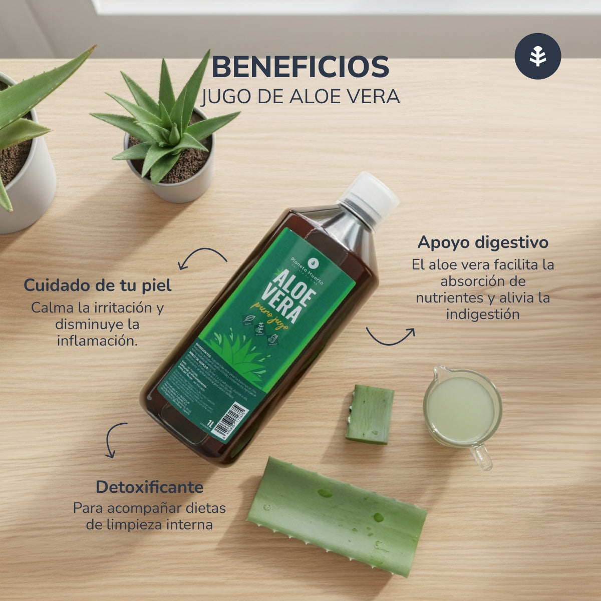 Aloe Vera Jugo Planeta Huerto 1 L