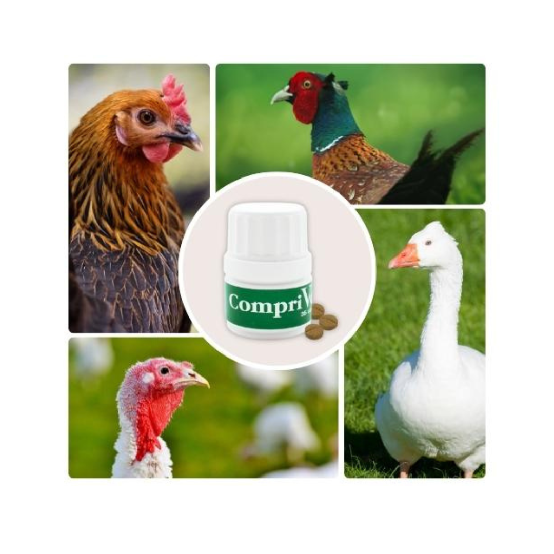 CompriVerm – Complemento nutricional en comprimidos para aves de corral (anátidas, gallinas, faisanes) – 35 comprimidos_1