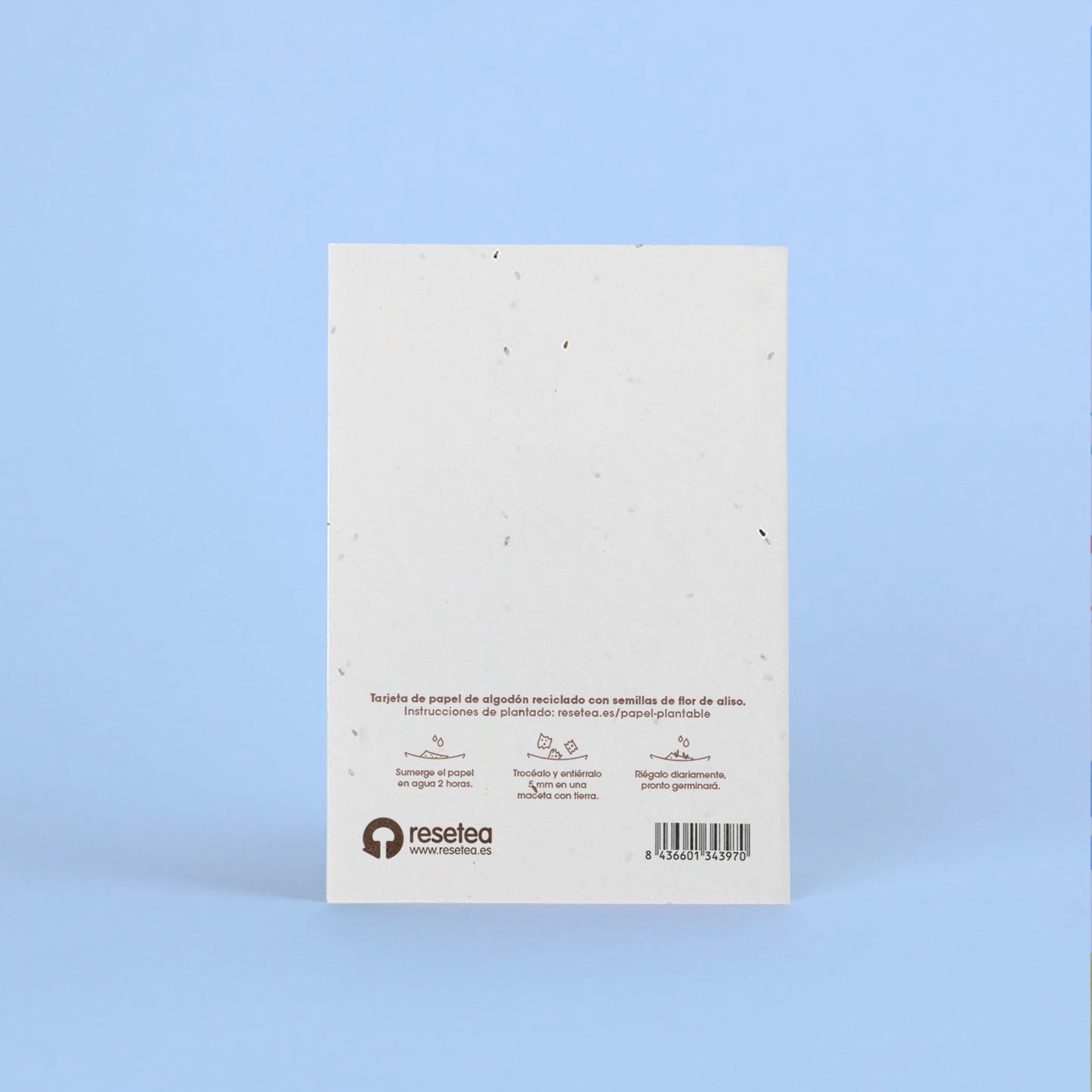 Postal Plantable Te Quiero con Semillas de Flor de Aliso – Regalo Romántico Original - Resetea_1