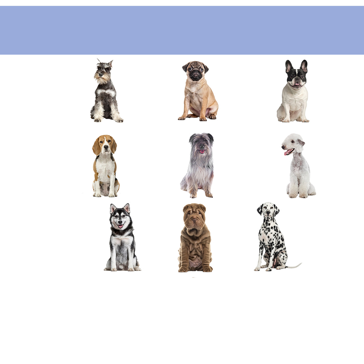 Pawhut Cama Elevada Para Perros Interior Y Exterior 91,5x76,2x18 Cm Azul_3