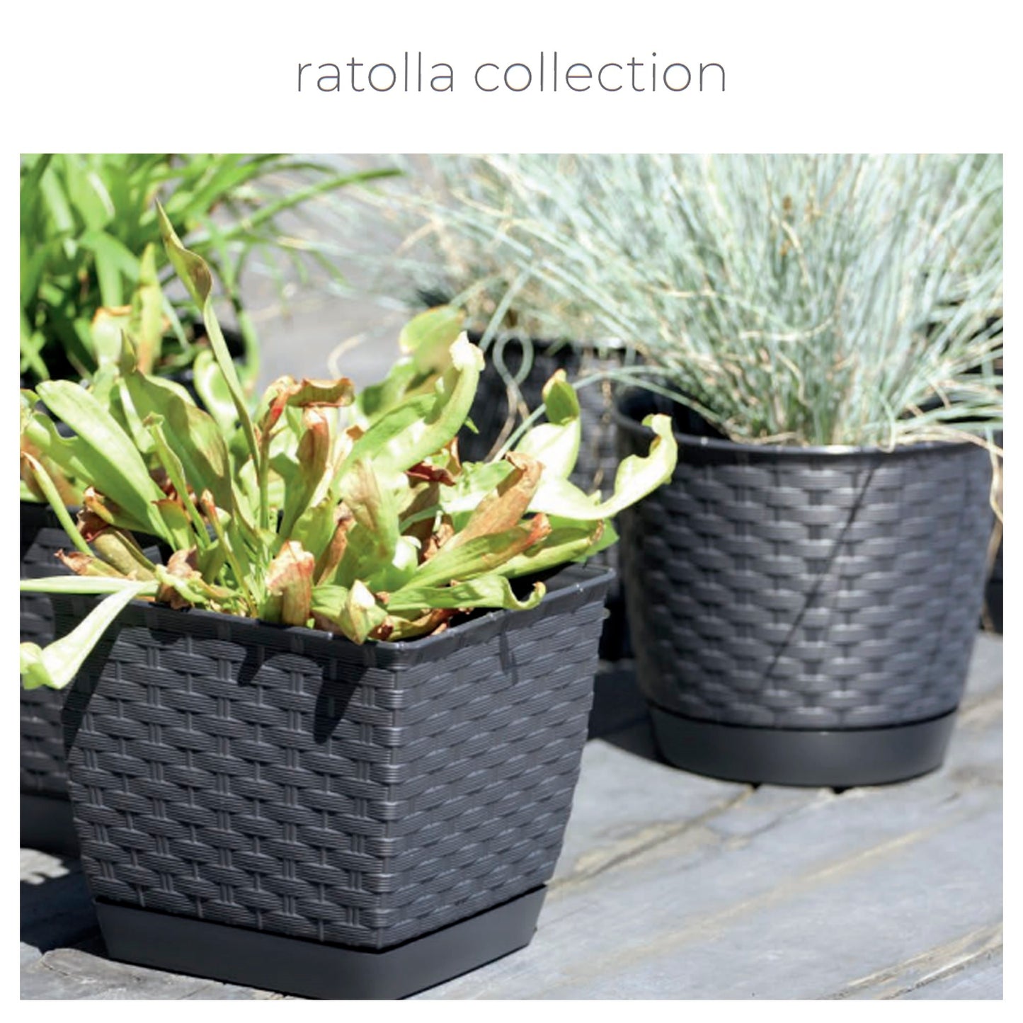 Maceta Ratolla Round 2l., Dimensiones (mm) 165x165x142, Color Antracita_1