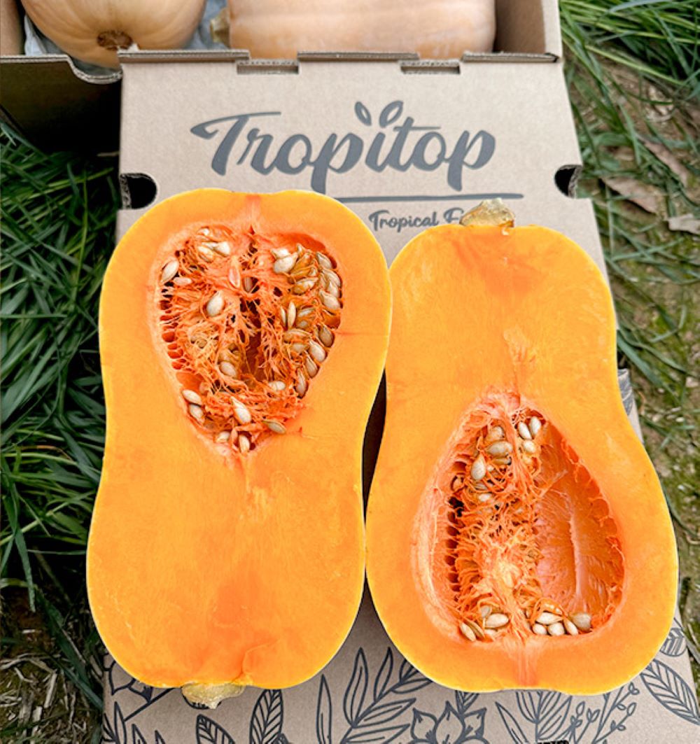Caja De Calabaza Cacahuete De Temporada Tropitop 4kg_2