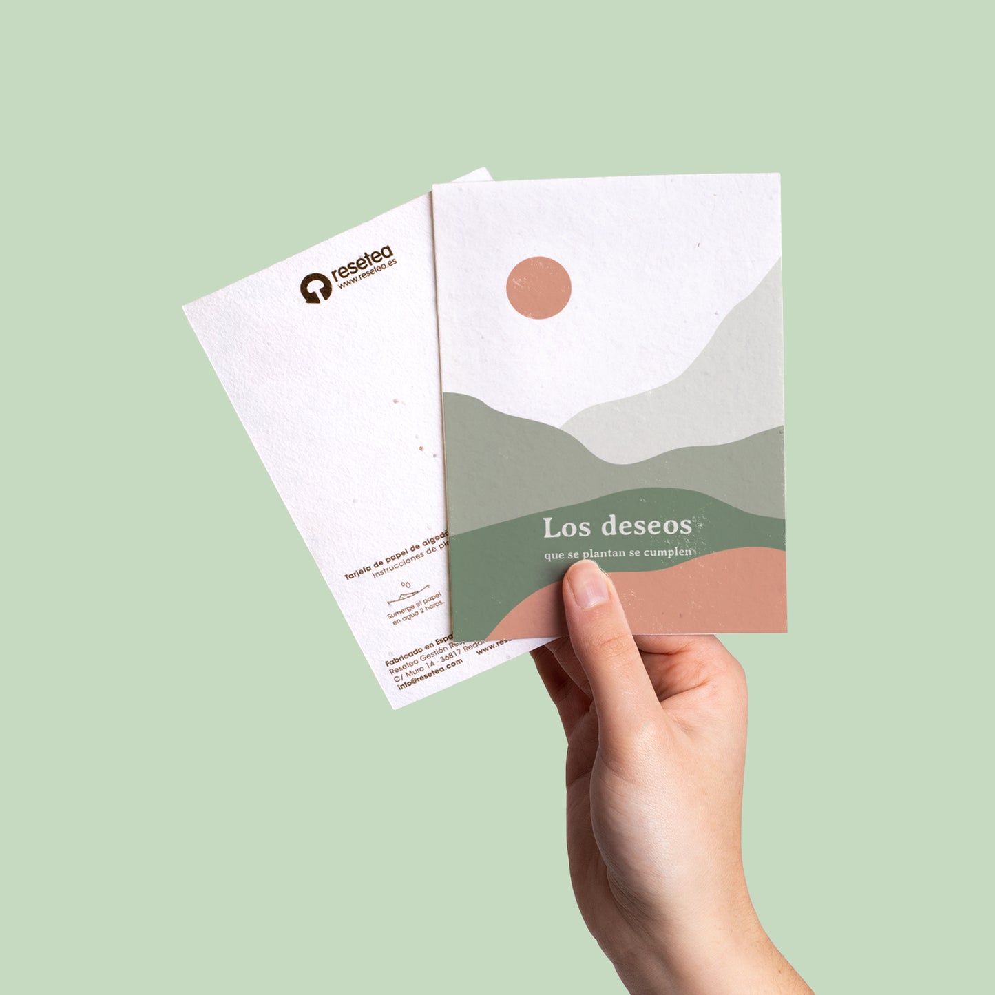 Postal Plantable Los Deseos Que Se Plantan Se Cumplen Con Semillas De Manzanilla | Regalo Original Que Florece_3