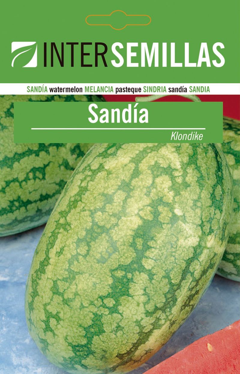 Sobre De Semillas De Sandia Klondike