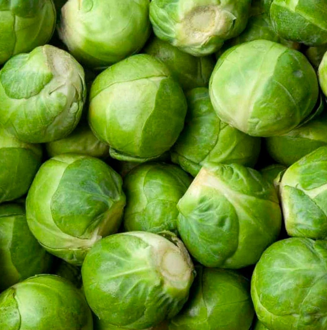 Semillas Col De Bruselas Groninger Ecológicas