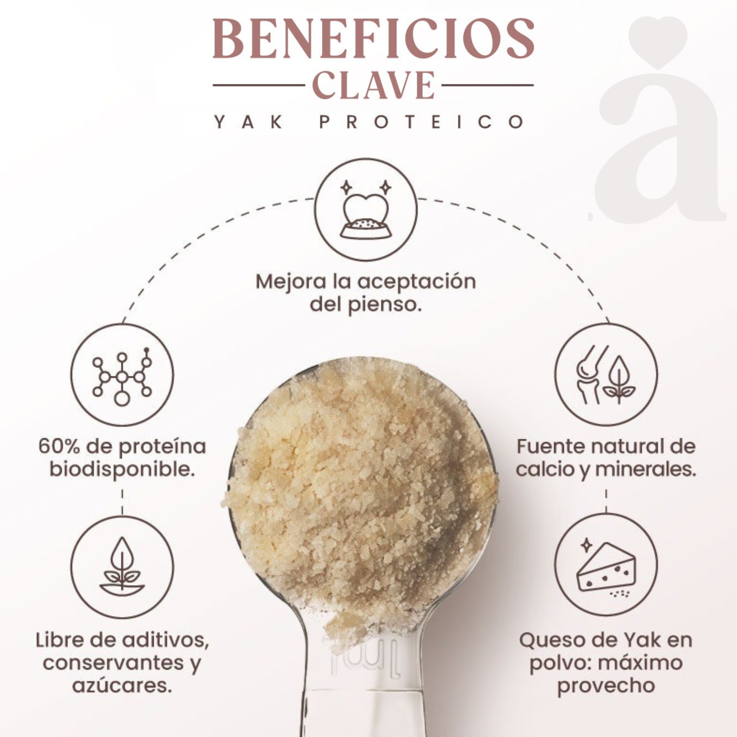 Yak Proteico - Churpi En Polvo  - Refuerzo Natural Rico En Proteínas_2