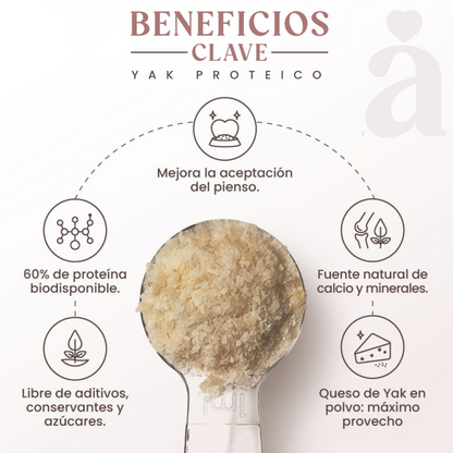 Yak Proteico - Churpi En Polvo  - Refuerzo Natural Rico En Proteínas