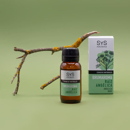 Esencia Hidrosoluble Raíz Angélica SYS Aromas 50 ml | Aroma Herbal y Balsámico | Para Humidificadores y Difusores_2