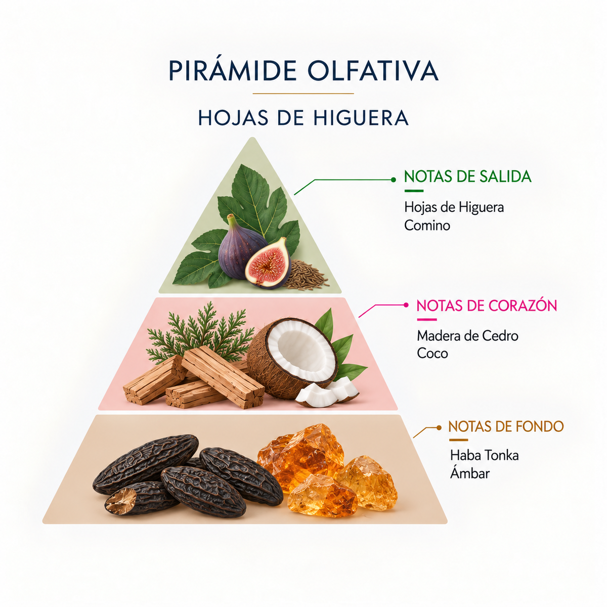 Esencia Natural Higuera SYS Aromas 12 ml | Aroma Frutal y Herbal | Para Quemadores y Humidificadores_1