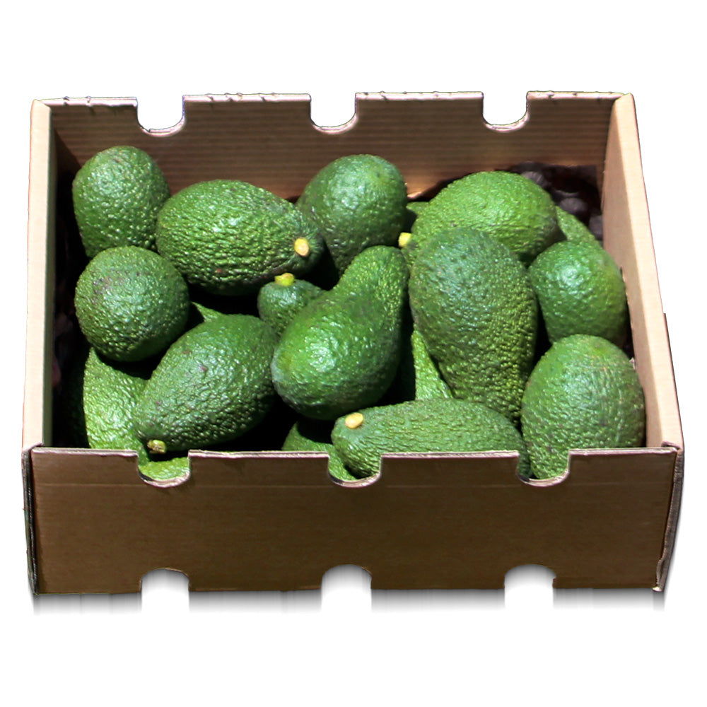 Aguacates Hass caja de 4kg - producción local y sostenible en castellón. Directos del agricultor a tu casa_0