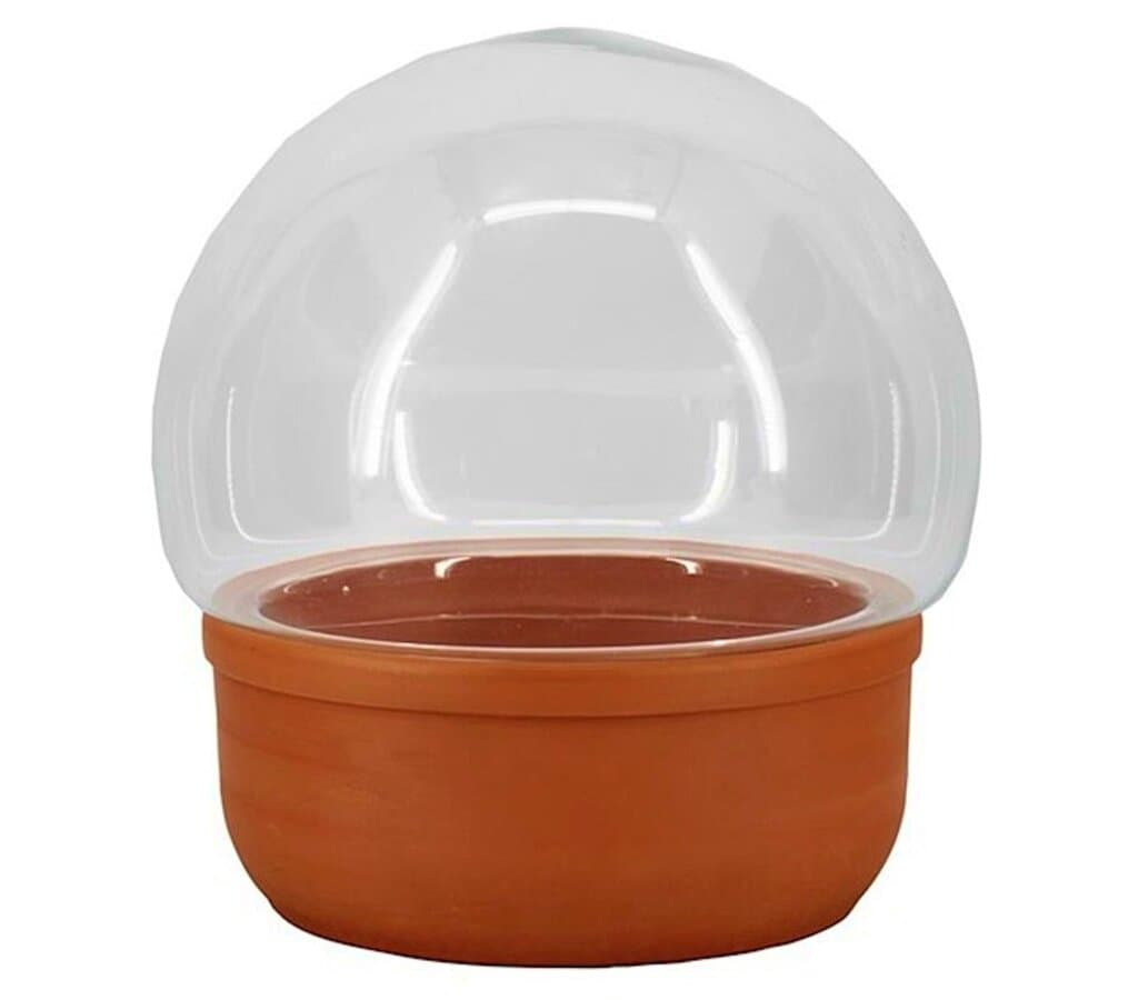 Terrario Bola Cuenco Diámetro 25cm Altura 23.5cm