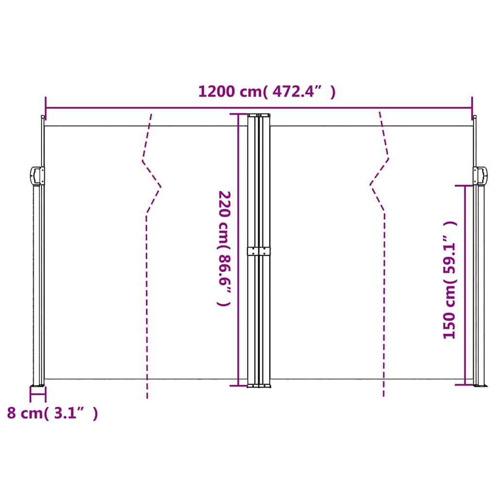 Vidaxl Toldo Lateral Retráctil Antracita 220x1200 Cm_2