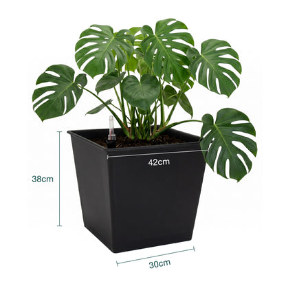 Maceta Con Autorriego De Polipropileno 67 L 42x42x38 Cm Hortalia_5