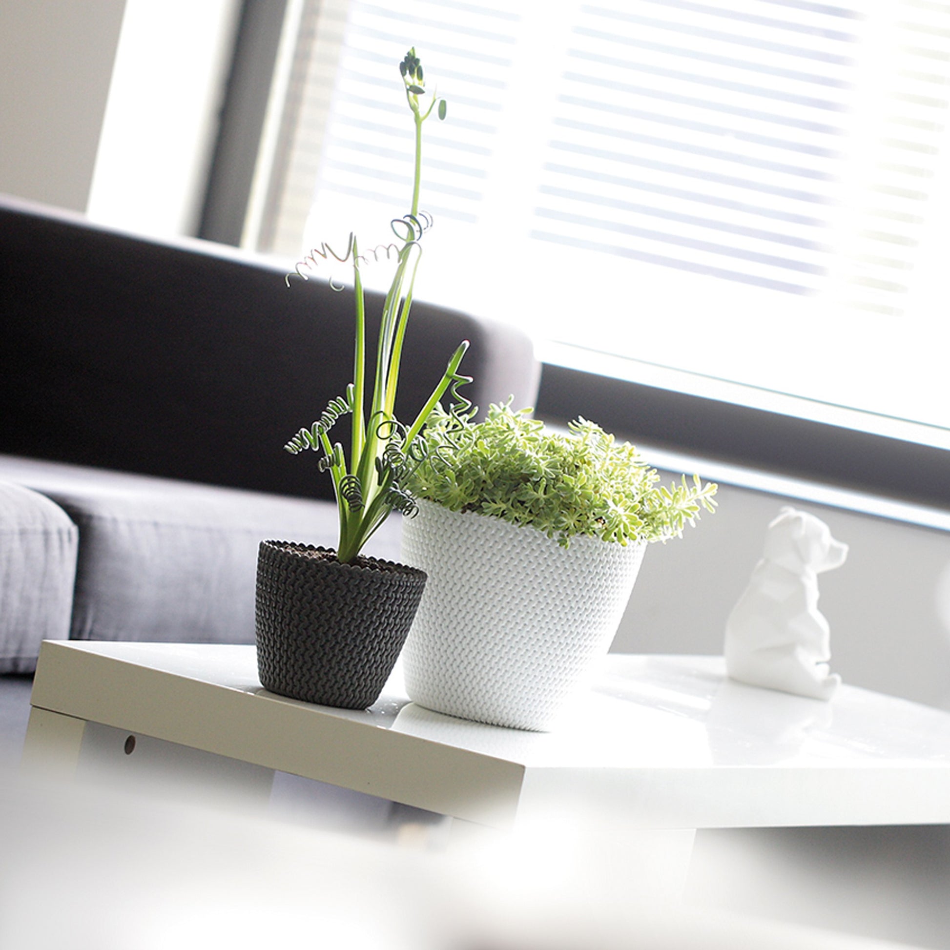 Maceta Redonda 5l Prosperplast Splofy De Plastico En Color Mocca, Ø21,8 X 18,4 Cm_4