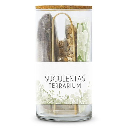 Kit Terrarium Suculentas
