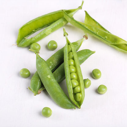 Plantón Guisante Medio Enrame 4 Unidades - PlantaBo_1