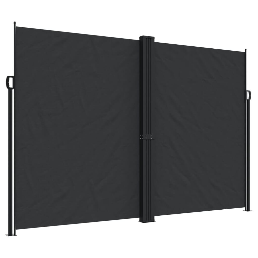 Vidaxl Toldo Lateral Retráctil Negro 220x1000 Cm_0
