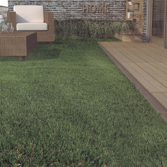 Césped Artificial Zurich Evolution - 40 Mm - 2x10 M_0