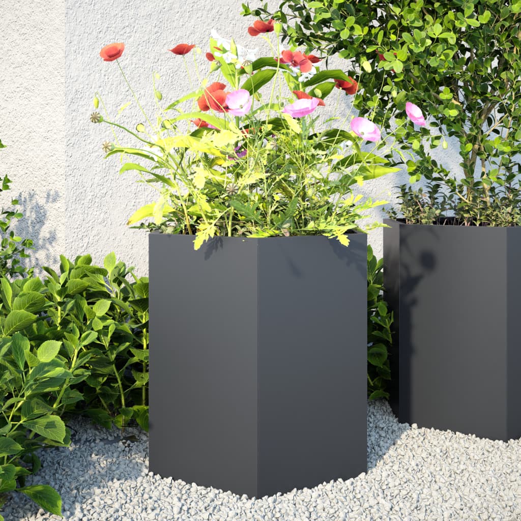 Jardineras Hexagonales 2 Uds Acero Antracita 46x40x45 Cm_1