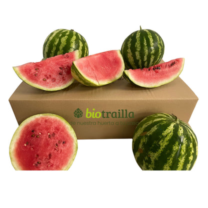 Caja 7kg de sandías BIO De La Huerta Navarra_0