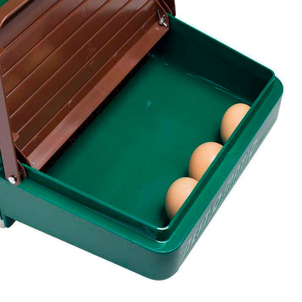 Ponedero Para Gallinas - Ponedero Huevos Confortable Con Cortinilla_1