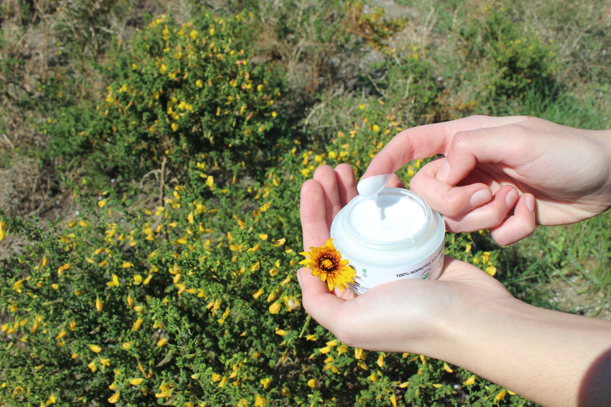 Verbelbio Camomila – Crema ECO Hidratante, Regeneradora y Calmante.  Piel Sensible, Rosácea y Dermatitis. Con Equinacea.