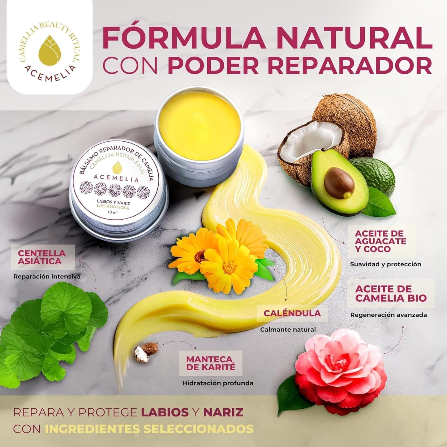 Labial Reparador para labios y nariz en lata con Aceite de Camelia