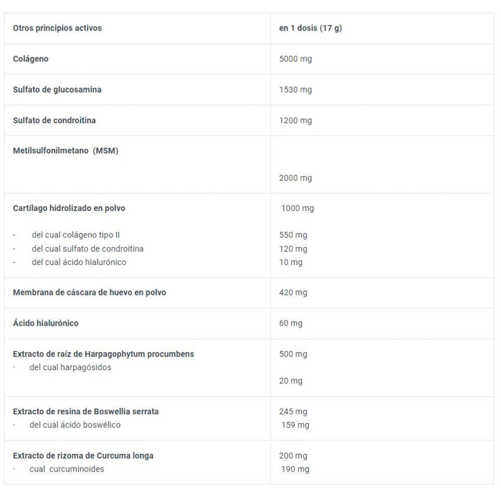 Arthro Forte 340 Gr Grosella Negra