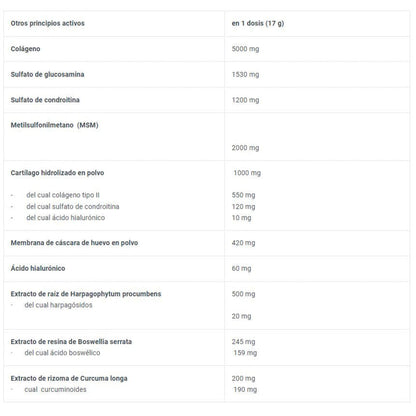 Arthro Forte 340 Gr Grosella Negra