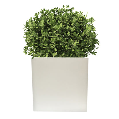 Macetero De Polietileno Blanco 50x50 Cm_2