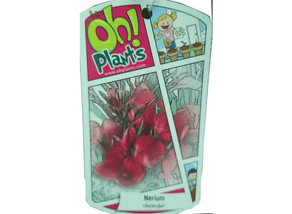 Adelfa Enana M30 60cm (valadre O Nerium Oleander)_2