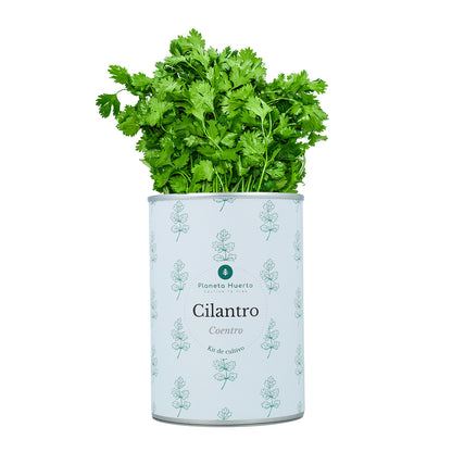 Pack Cofre Kits de cultivo aromáticas Planeta Huerto