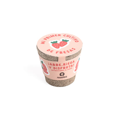 Mi Primer Cultivo de Fresa – Kit Educativo STEM para Cultivar Fresas en Casa, Niños - Resetea_0