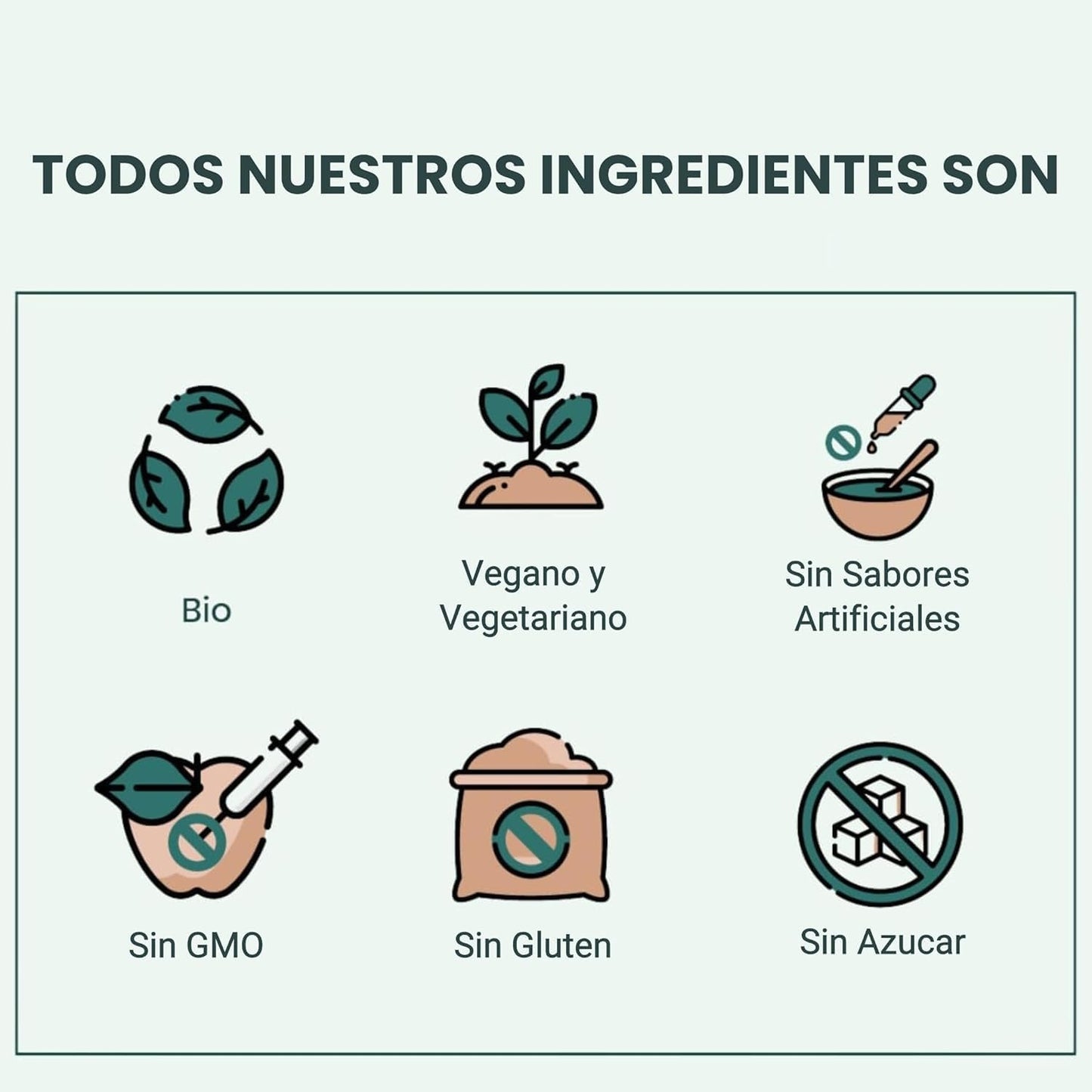 Chlorella En Polvo Bio - 1kg | Superalimento Ecológico Vegano Para Batidos, Smoothies Y Zumos, Sin Azúcares Añadidos_5