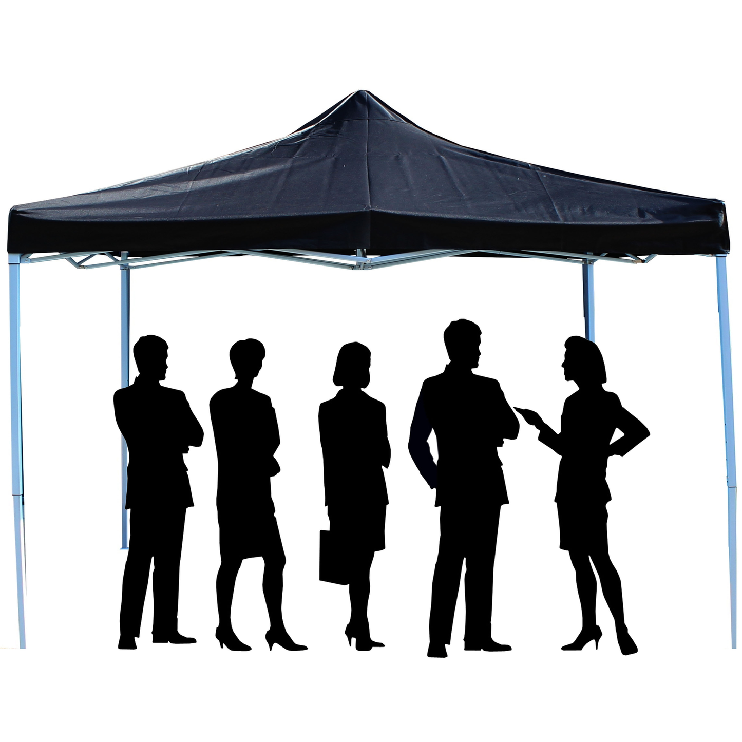Carpa Plegable 300x450cm Tienda Negra_2