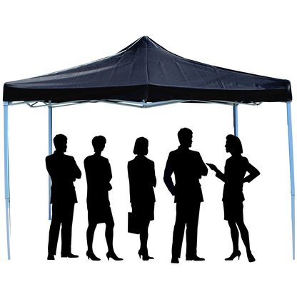 Carpa Plegable 300x450cm Tienda Negra_2