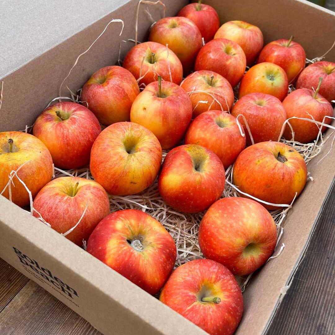 Caja Manzanas Rojas Royal Gala 4,5 KG_2