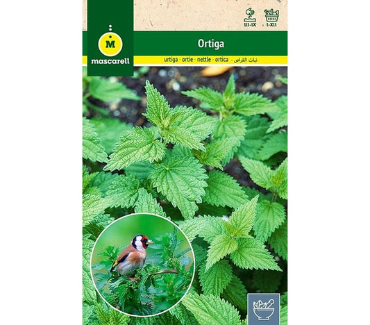 Semillas Ortiga
