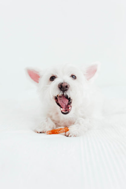 Bimordiscos Filetes De Pato Para Perros Y Gatos - 1kg