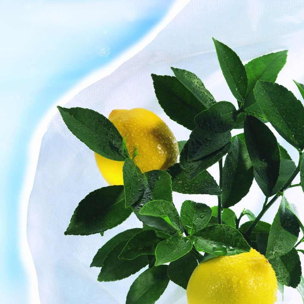 Funda de hibernación antiheladas Hiversac 30 g/m2 Nortene 3 ud