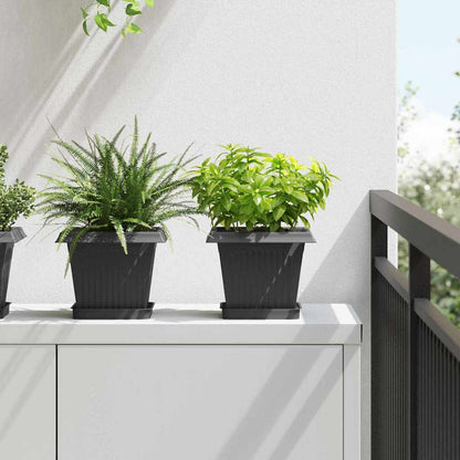 Macetas 6 Uds. Negro Plástico_1
