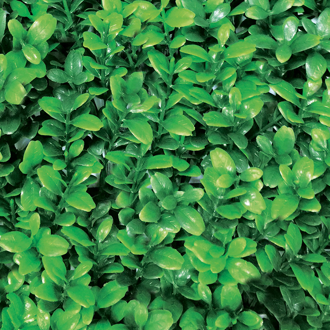 Pack De 4 Losetas De Jardín Vertical Boj Mahón - Transformación Verde 0,5x0,5 M / Multicolor_1